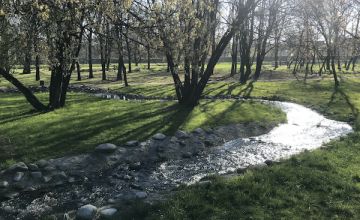 Rzeczki w Parku Grabek uruchomione